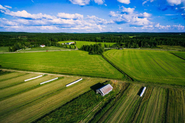 Segregar Fincas · Topógrafos Servicios Topográficos y Geomáticos Gérgal